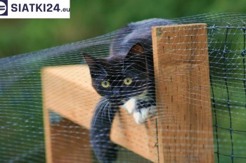 Siatki Brzeziny - Dobra siatka balkonowa - na ptaki i dla kota dla terenów Brzeziny