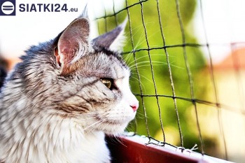 Siatki Brzeziny - Siatka na balkony dla kota i zabezpieczenie dzieci dla terenów Brzeziny