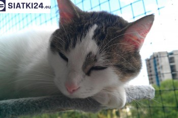 Siatki Brzeziny - Siatka na balkony dla kota i zabezpieczenie dzieci dla terenów Brzeziny