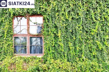 Siatki Brzeziny - Siatka z dużym oczkiem - wsparcie dla roślin pnących na altance, domu i garażu dla terenów Brzeziny